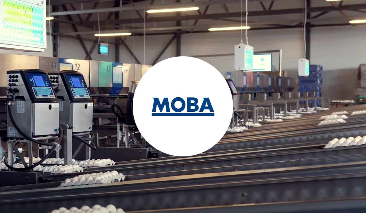 moba-image-website